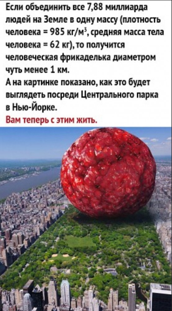 Бредзона 22.08.21