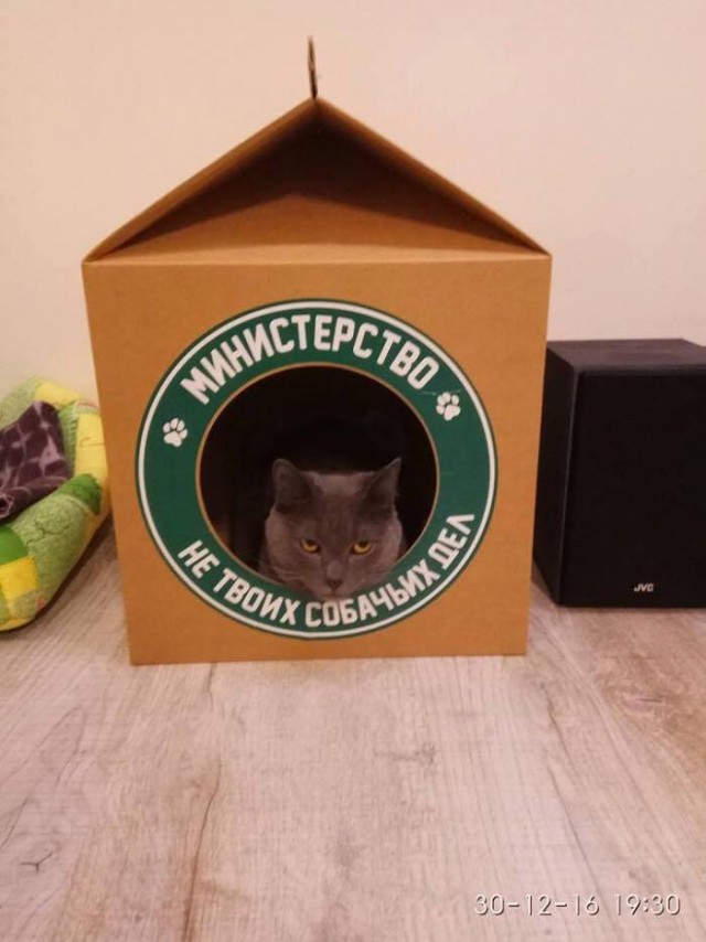 Кошкин дом