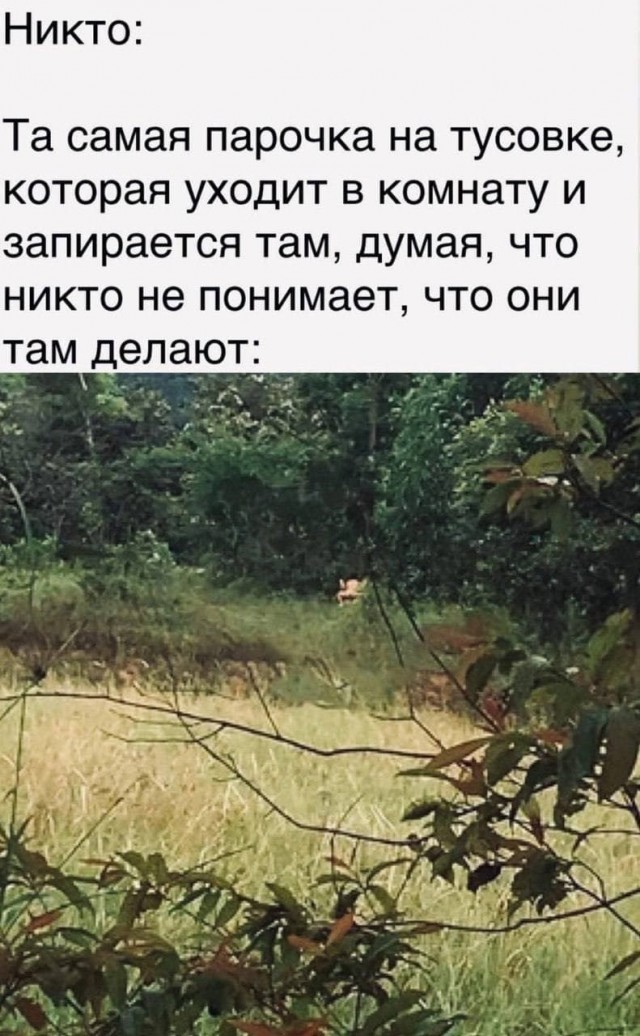 Картинки аморальные и всякие разные - 20