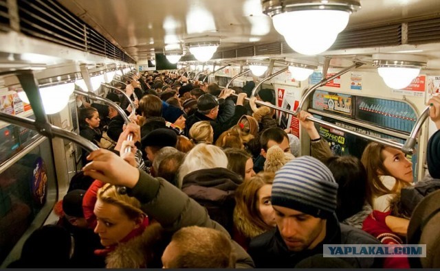 Японские ученые выявили условия для 100%-го заражения "омикроном"