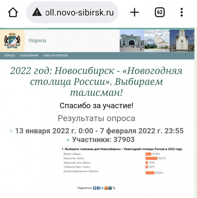 Медвежонок против орангутана: мэрию Новосибирска обвинили в коррупции на выборах новогоднего талисмана города