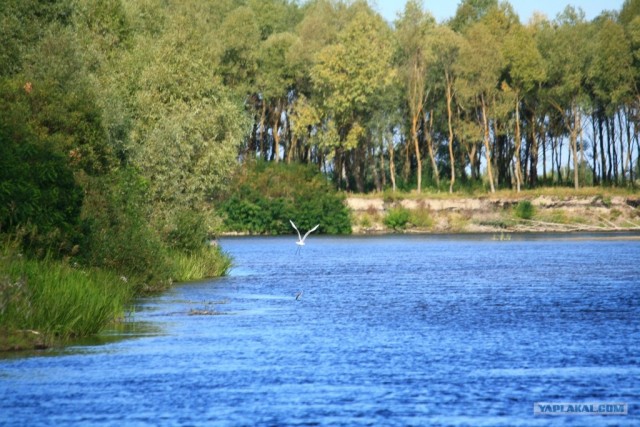 Сплав по Десне, сентябрь 2011