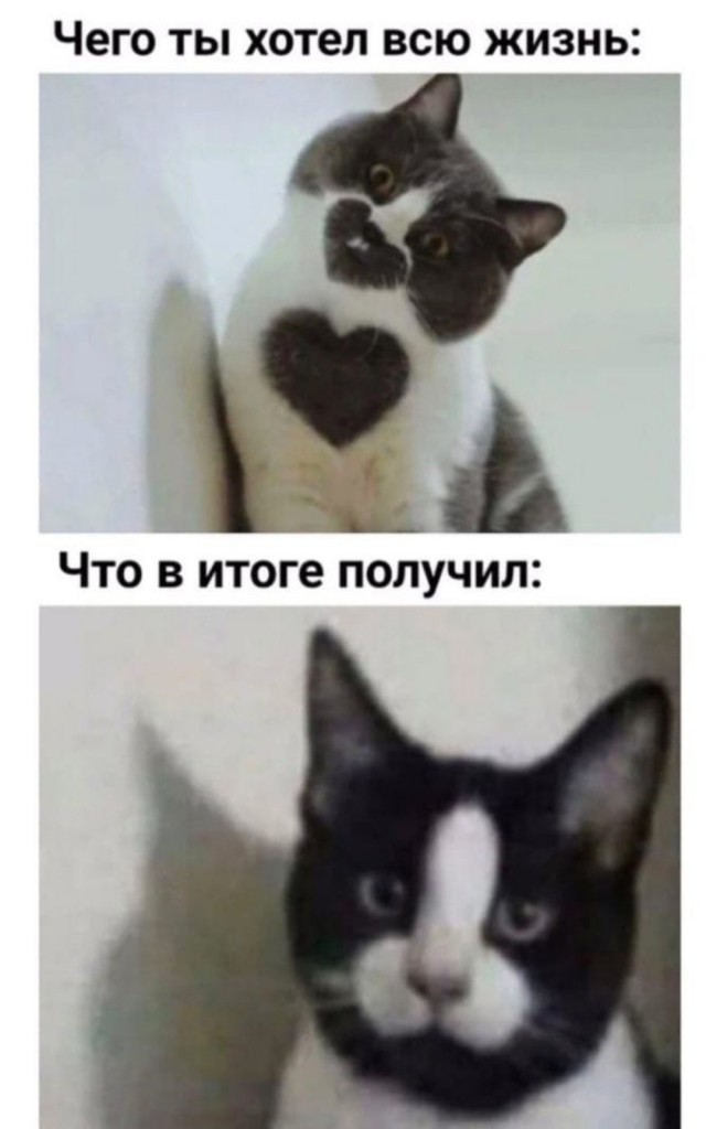 Пятница. И немного слегка пошлых картинок с надписями и без 16+ (15.07)
