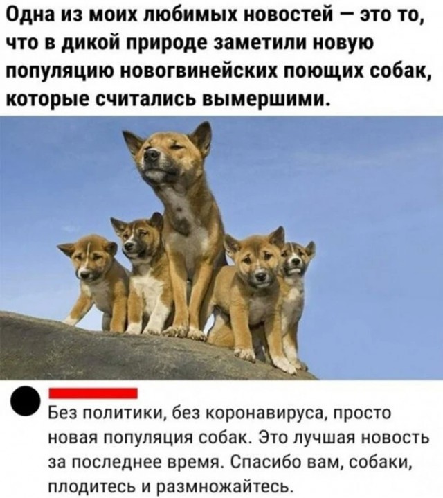 Баянисто-небаянистый юмор 1.08.22