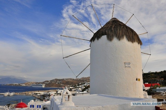 Любовь с первого взгляда