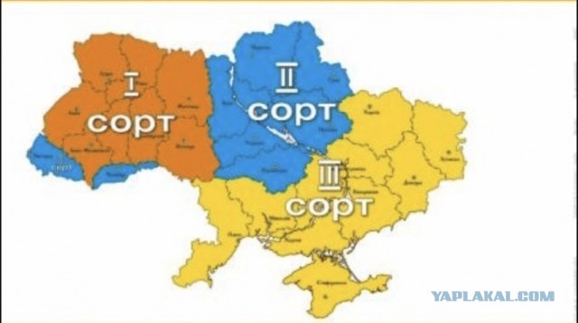 Видео сдачи в плен экипажа украинского танка Т-72 с заваренными люками