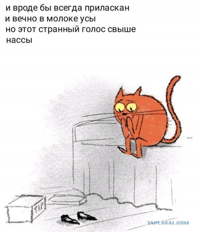 "Мстя не удалась"