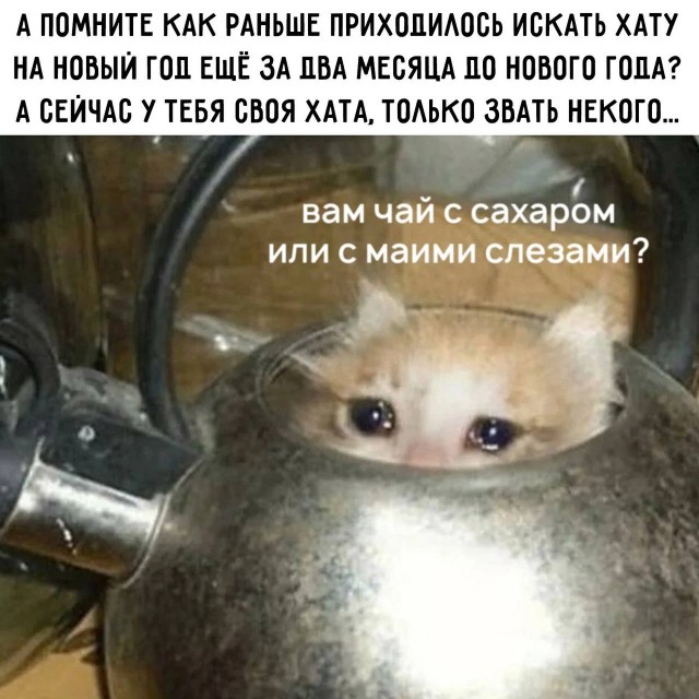 Немного мемчиков. Для взрослых. Часть 27