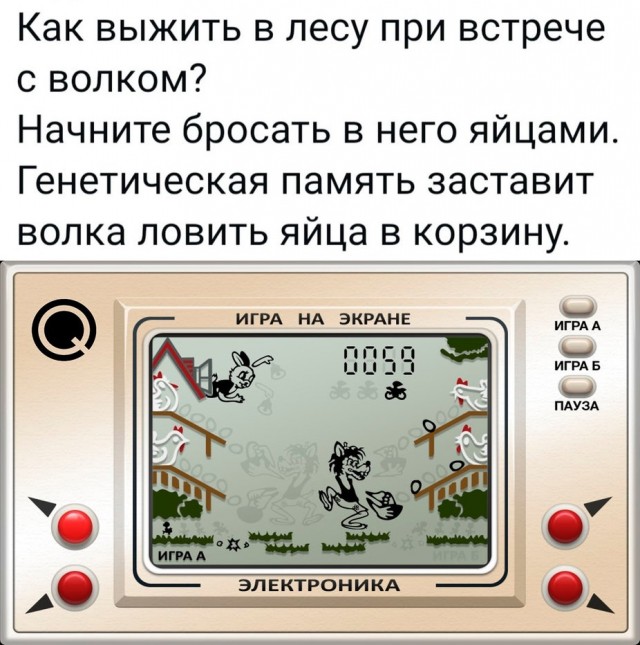 Приколы (баяны)