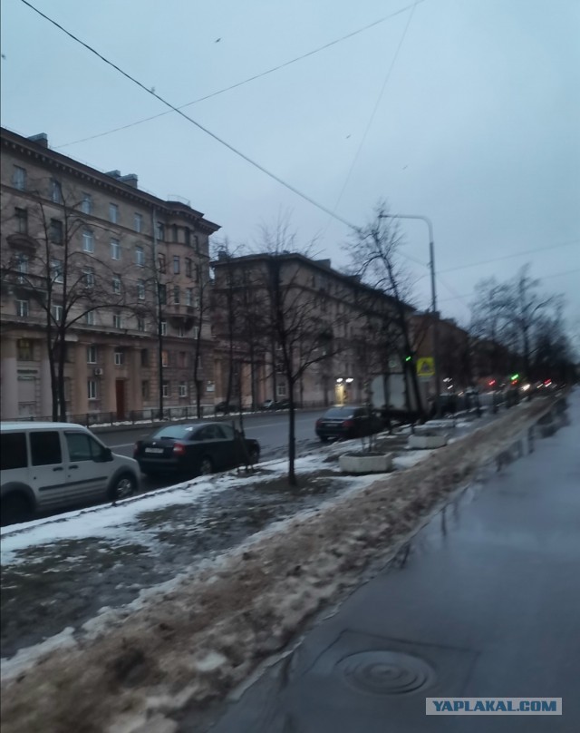 Меркантильные женщины