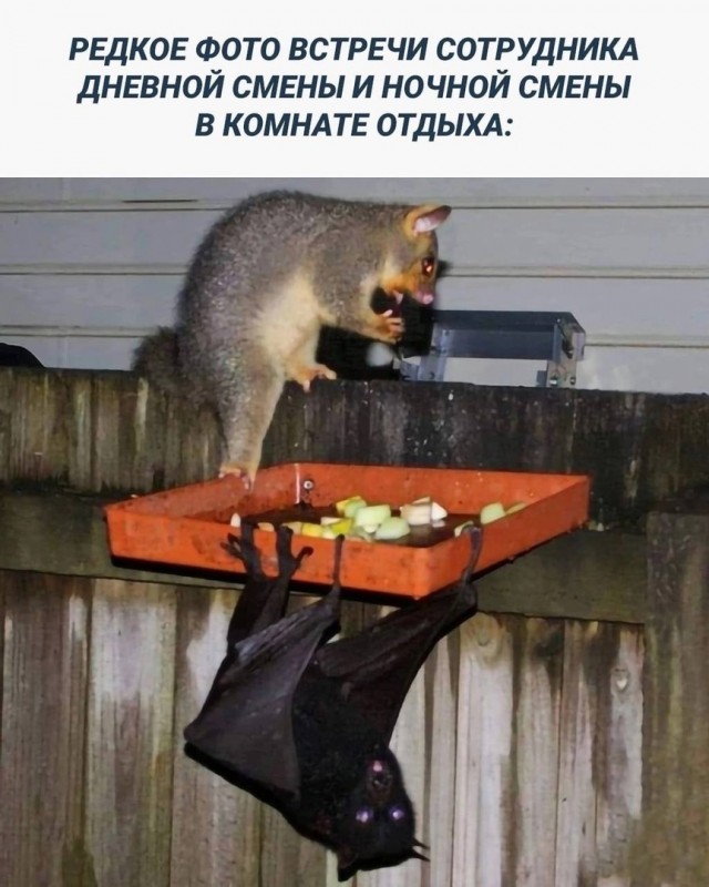 Держимся мужики!