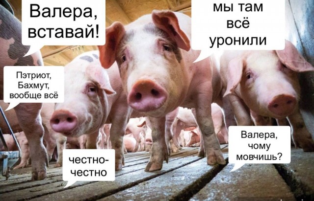 В Киеве что то горит