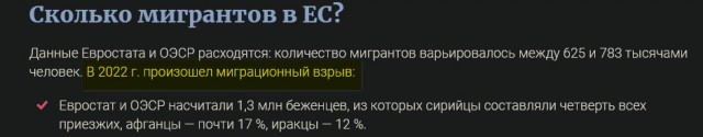 Правозащитники забили тревогу из-за засилия мигрантов: «Россия идет по пути Европы»