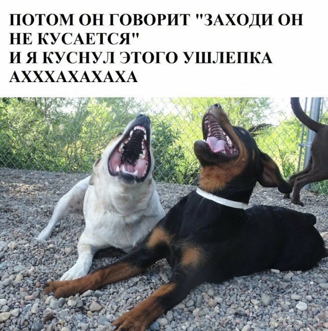 Так себе картинки 13.07.23