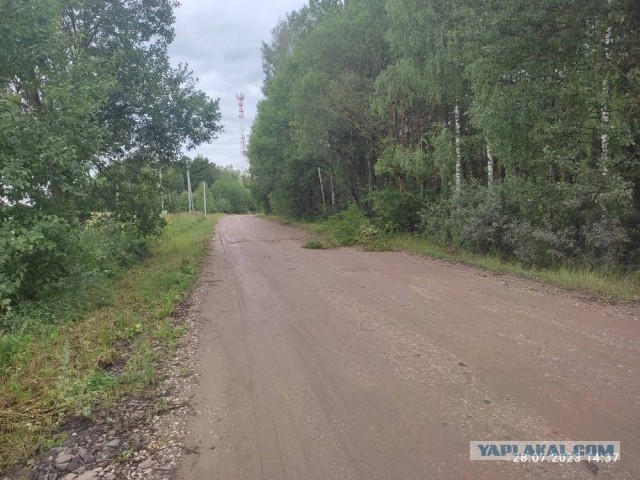 8 человек погибли в результате урагана в Марий Эл. Еще 10 были доставлены в больницы