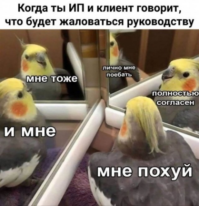 Юмор в картинках и без