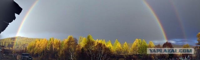 Краски осени