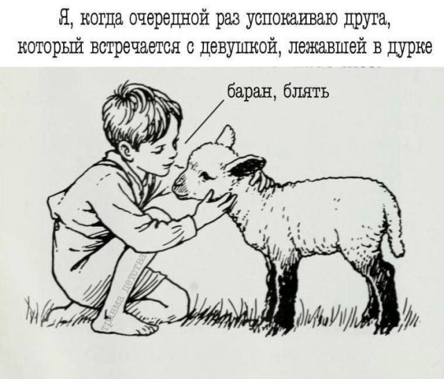 Всего понемногу. От 03.11.23