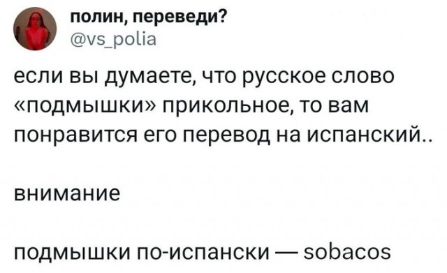 Забавные комментарии из социальных сетей 06.11.23