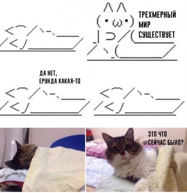 Котокартинки