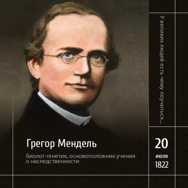 Меренговый рулет с вишней и орехами