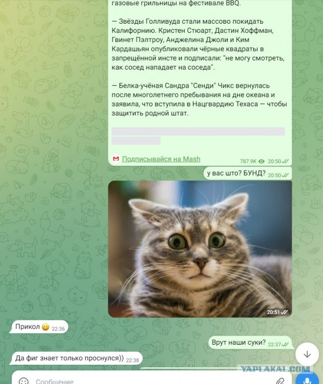 И снова про Техас