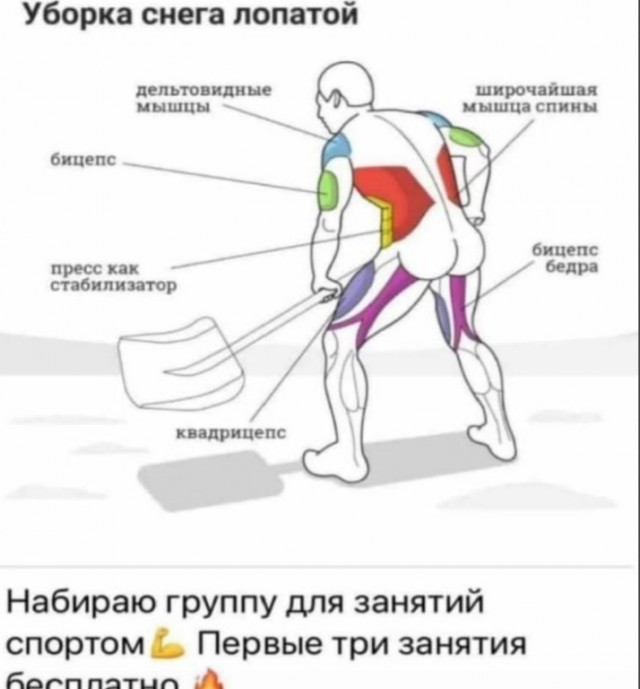 Сельские будни