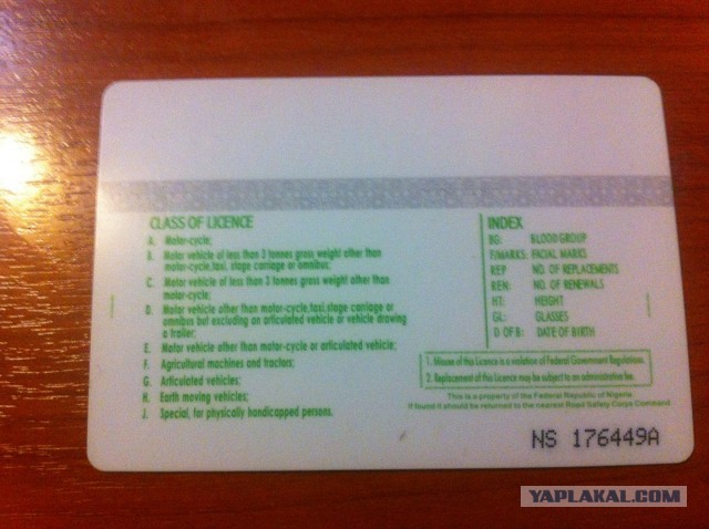 Только крокодилы спасут эту страну от мудаков!