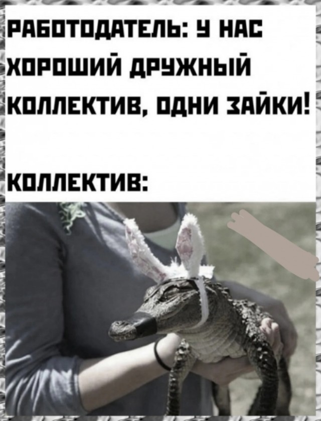 Так себе картинки 26.08.24