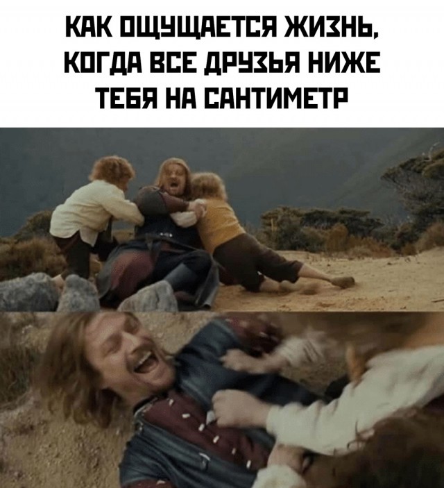 Весёлый полтишок 01.11.24