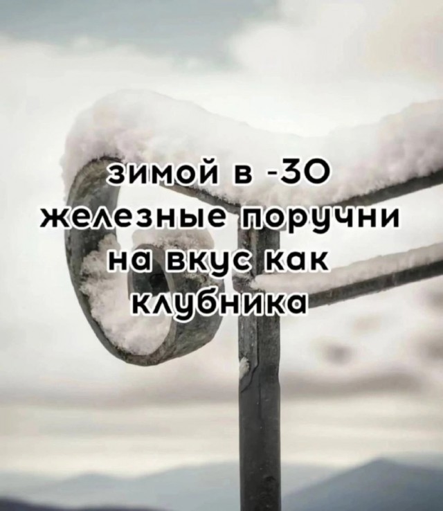 Так себе картинки 31.12.24