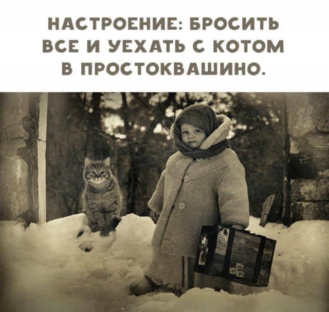 К котовторнику: подборка картинок-баянов с котиками и про котиков. Выпуск 2.