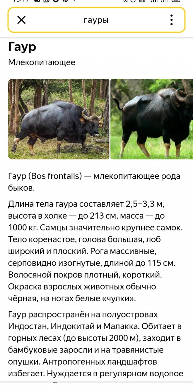 Гигантский бык