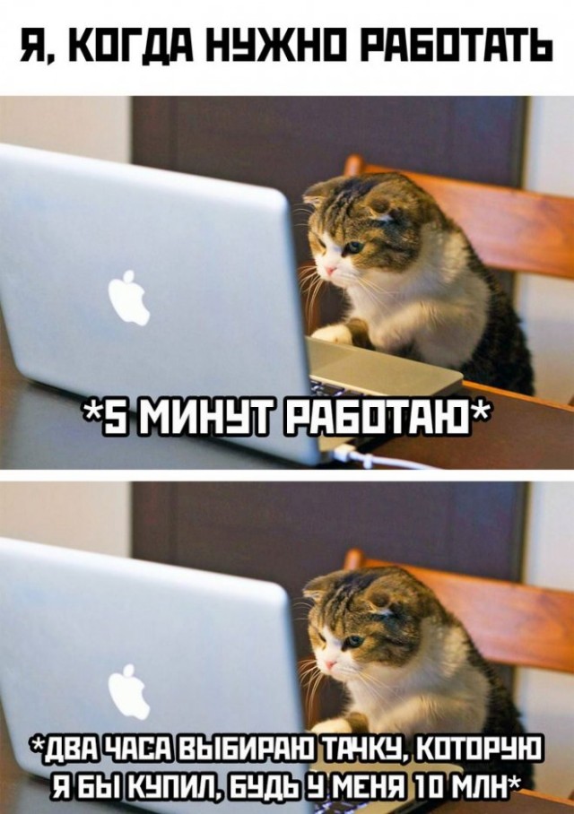 Веселые картинки в пятницу (11.04)