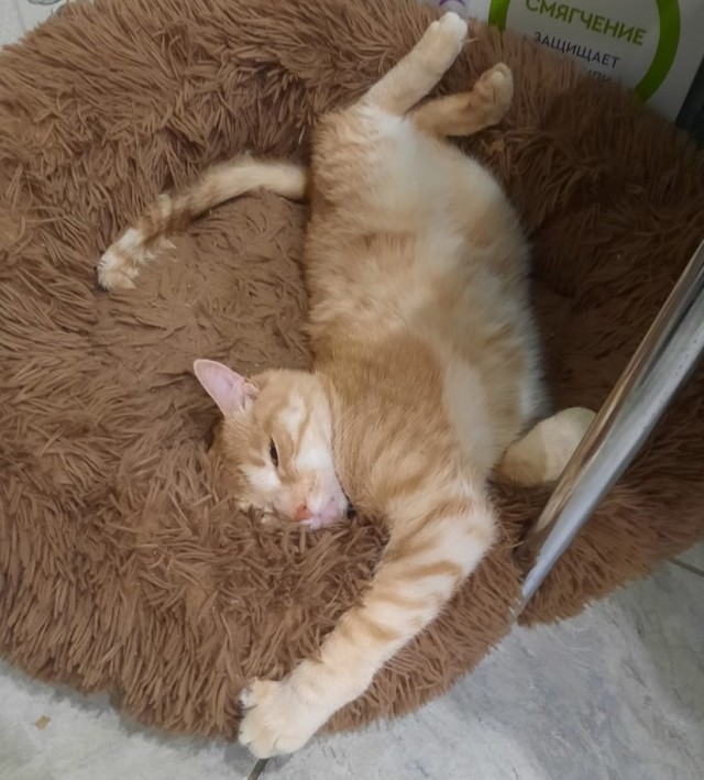 Косоглазый Смайлик