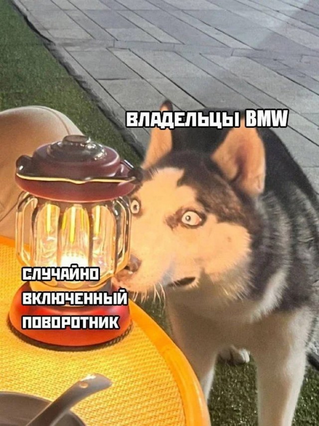 Так себе картинки 12.05.25