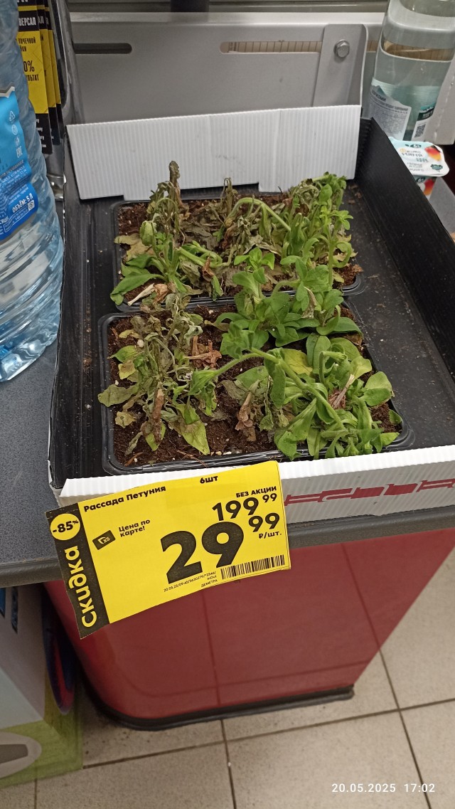 Зато по акции