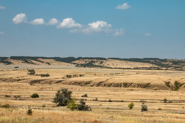 Донская степь