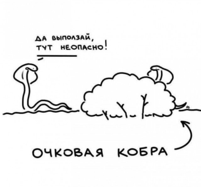 Завалялось тут случайно немного забавных картинок