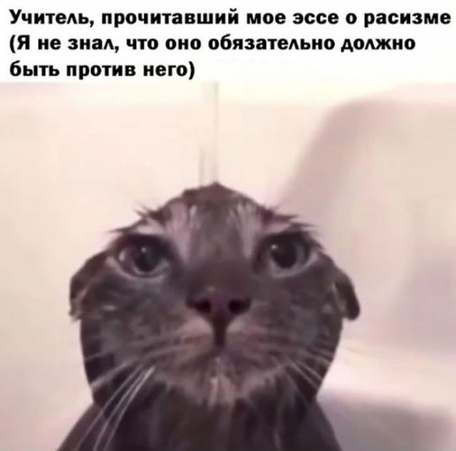 Немного картинок 31.07.25