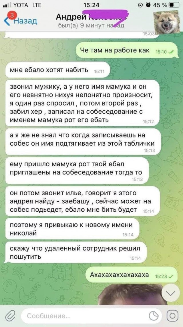 Веселые картинки в маленькую пятницу (20.08)