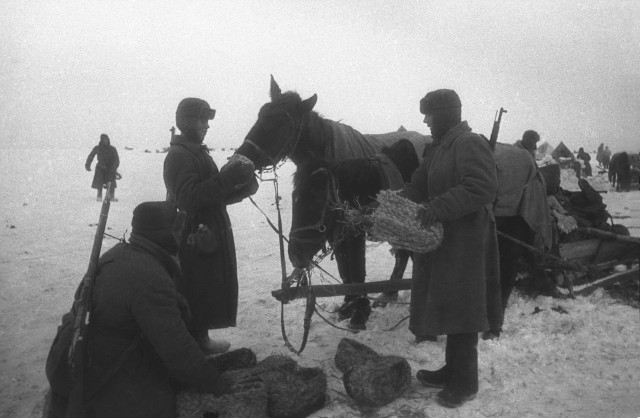 Великая Отечественная в фотографиях-13