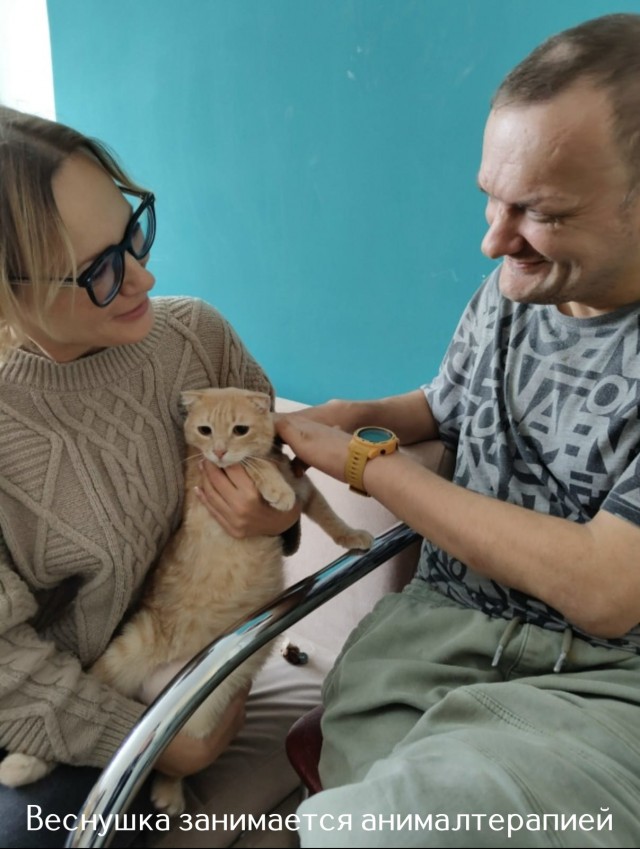 Жизнь домашнего приюта "Котоленд" 515