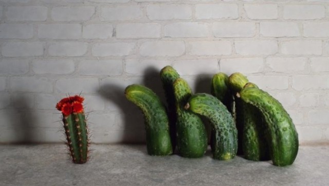 В последнюю осень. Читаем стихи