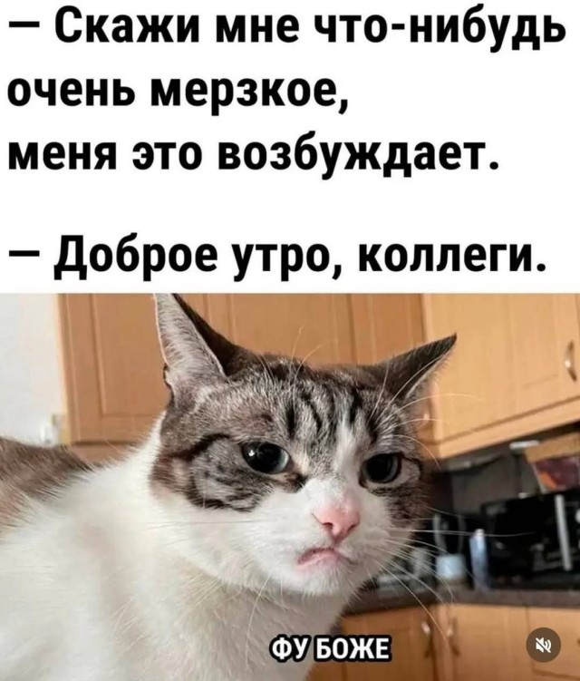Так себе картинки 21.10.25