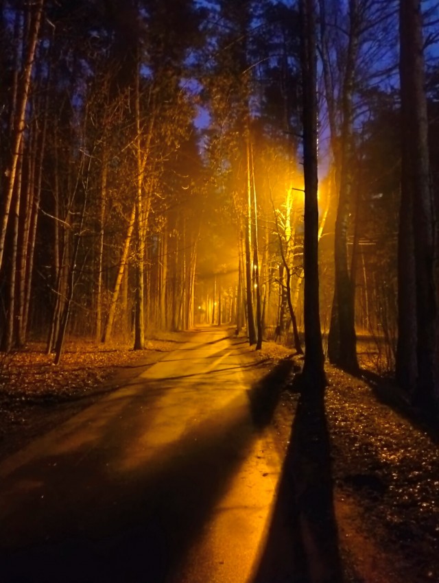 Моя мобильная фотография.