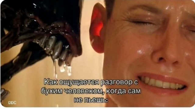 Веселых картинок вам в ленту