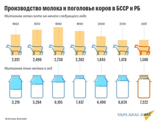 Кризис в «молочной столице» России: молочники Татарстана просят спасти отрасль