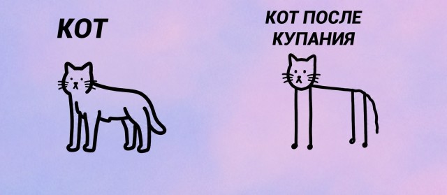 Картинки для деградации 233 (разной степени свежести)