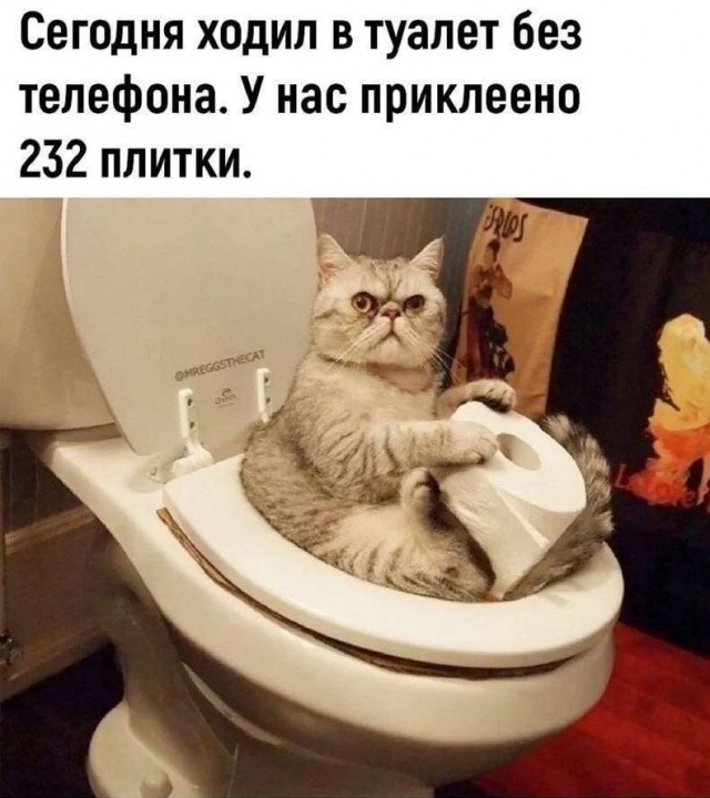 Картинки для деградации 240 (разной степени свежести)